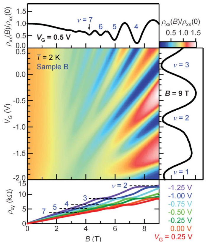 Fig3_organicgate